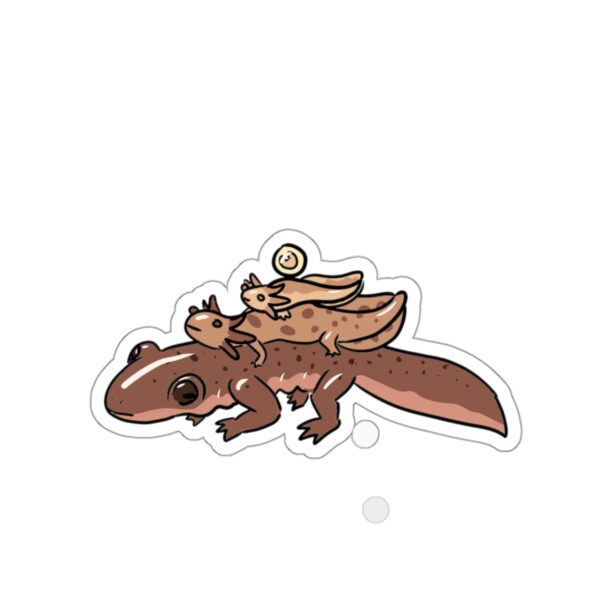 Salamander Life Cycle Sticker (Brown) - Image 10