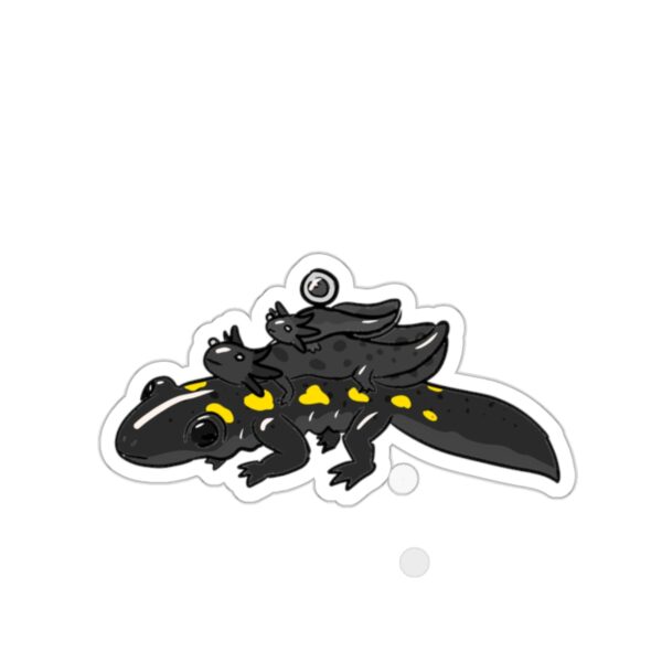 Salamander Life Cycle Sticker (Black) - Image 4