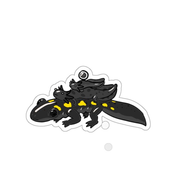 Salamander Life Cycle Sticker (Black) - Image 10