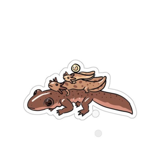 Salamander Life Cycle Sticker (Brown) - Image 4