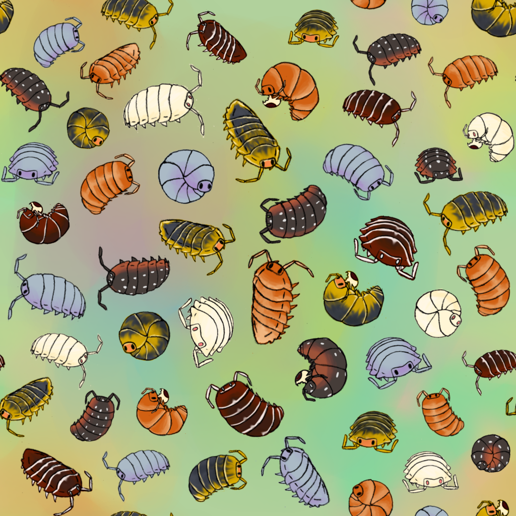 Isopods